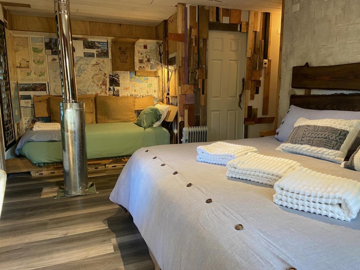 La Colmena Eco Lodge La Ensenada Εξωτερικό φωτογραφία