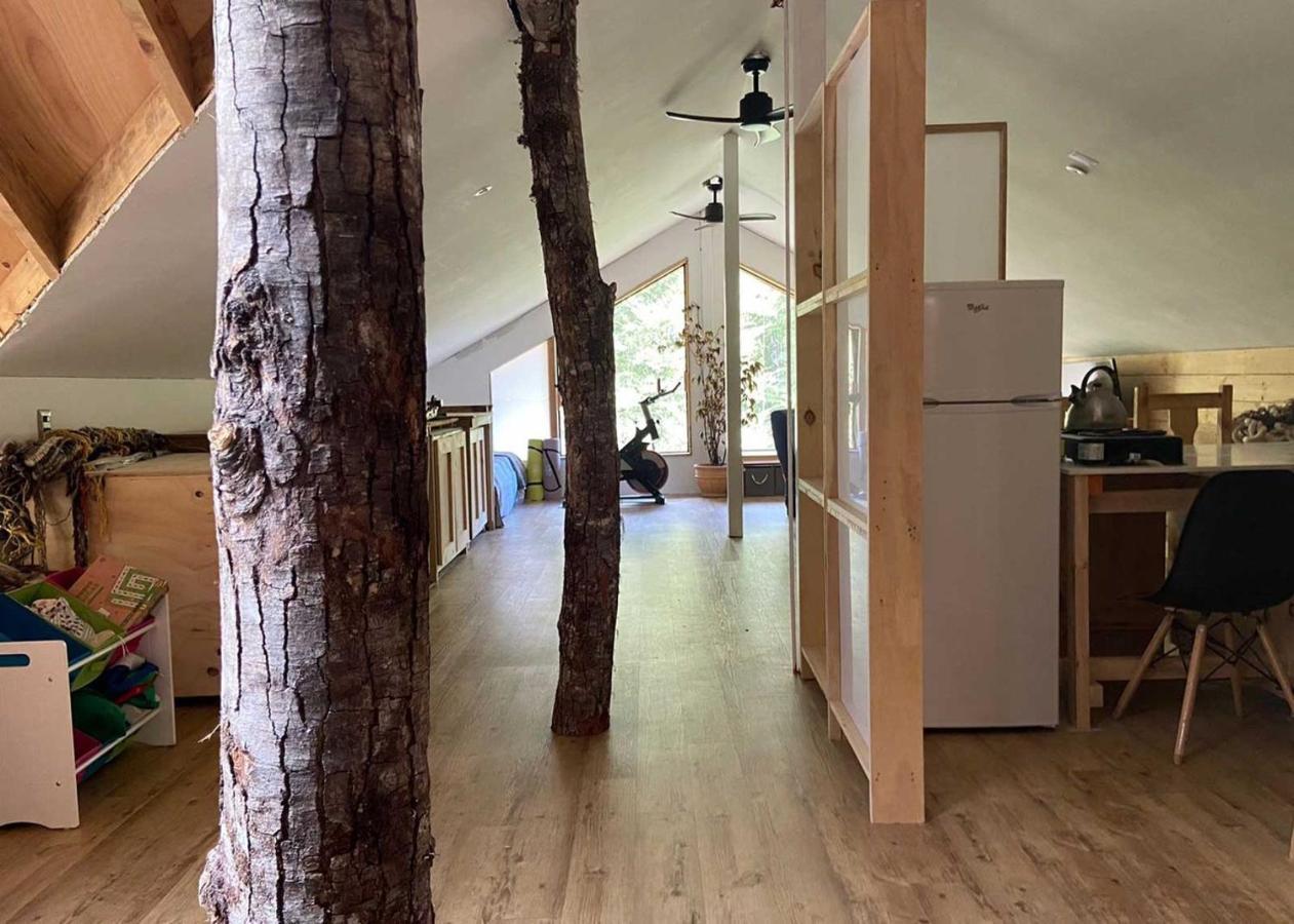 La Colmena Eco Lodge La Ensenada Εξωτερικό φωτογραφία