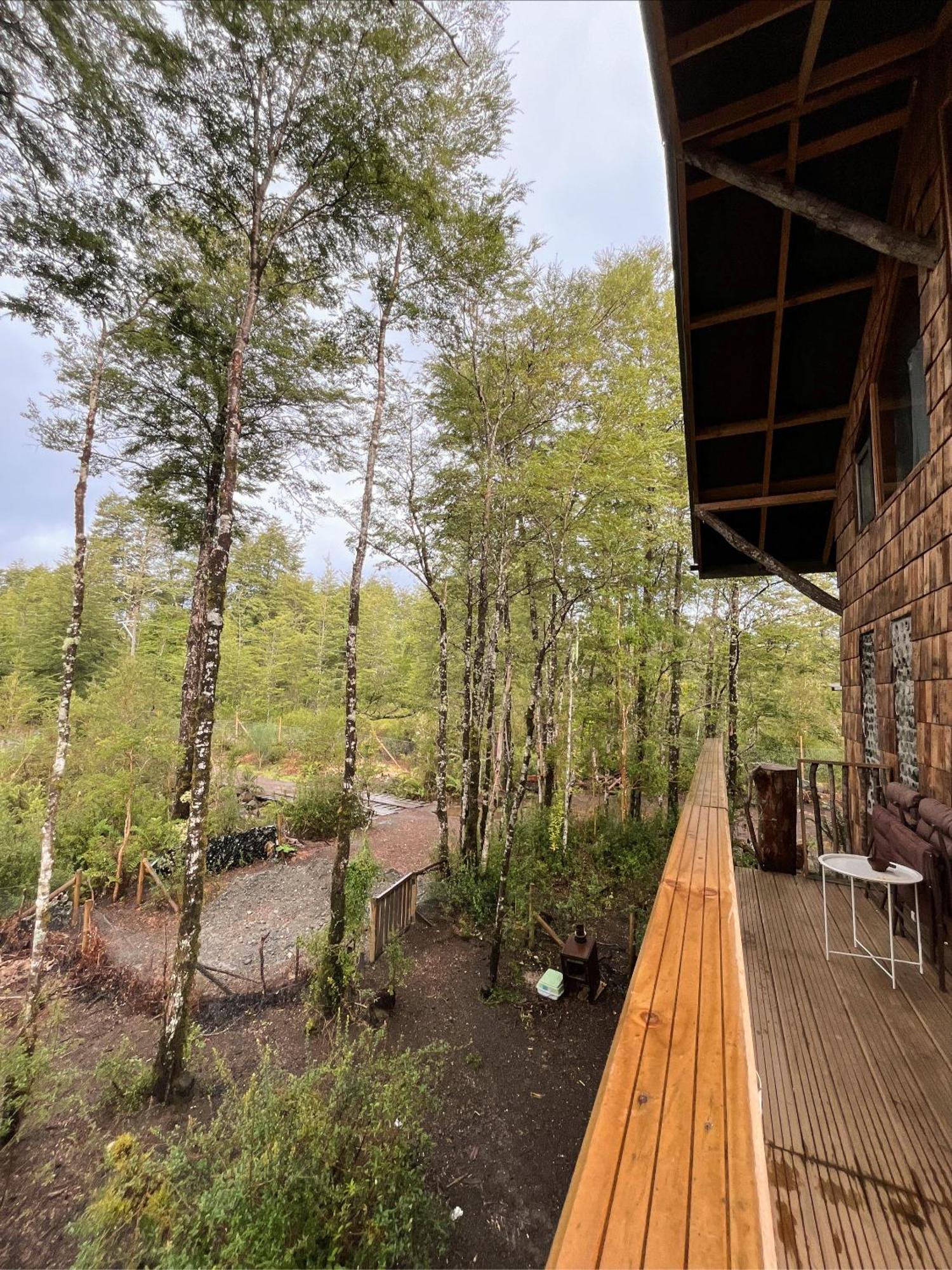 La Colmena Eco Lodge La Ensenada Εξωτερικό φωτογραφία